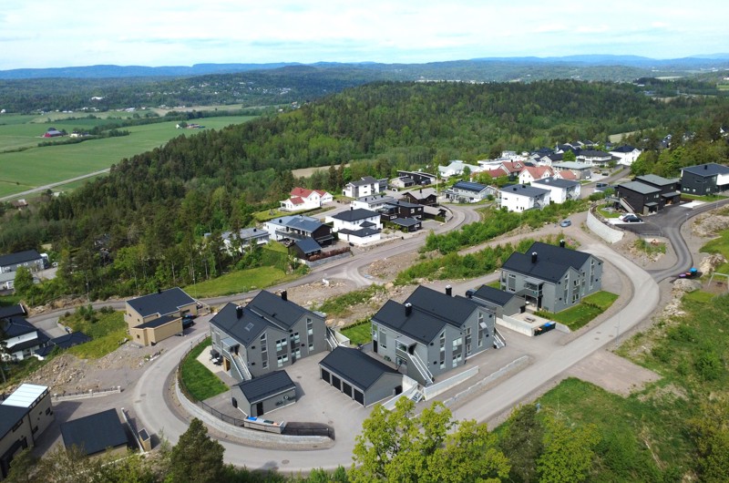 Skjeggestadåsen i Revetal